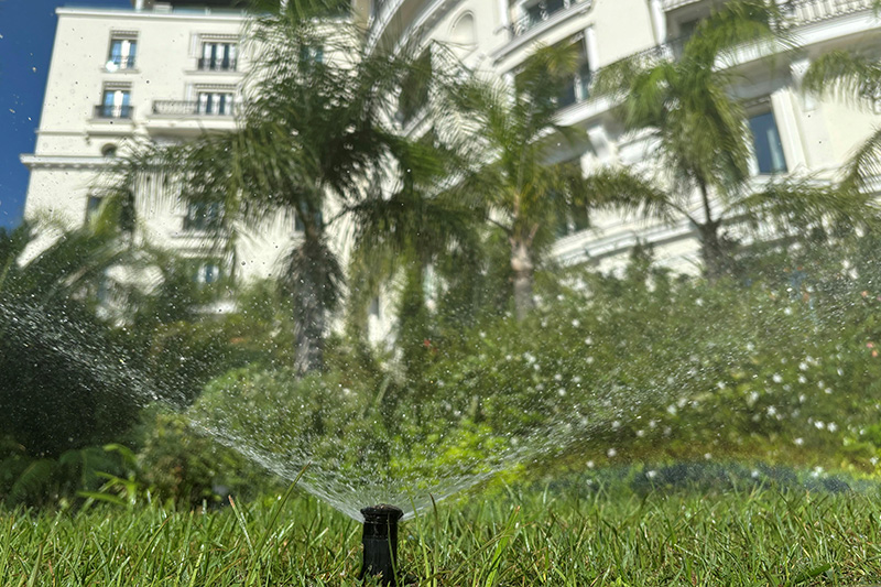 arrosage-auto-1.jpg